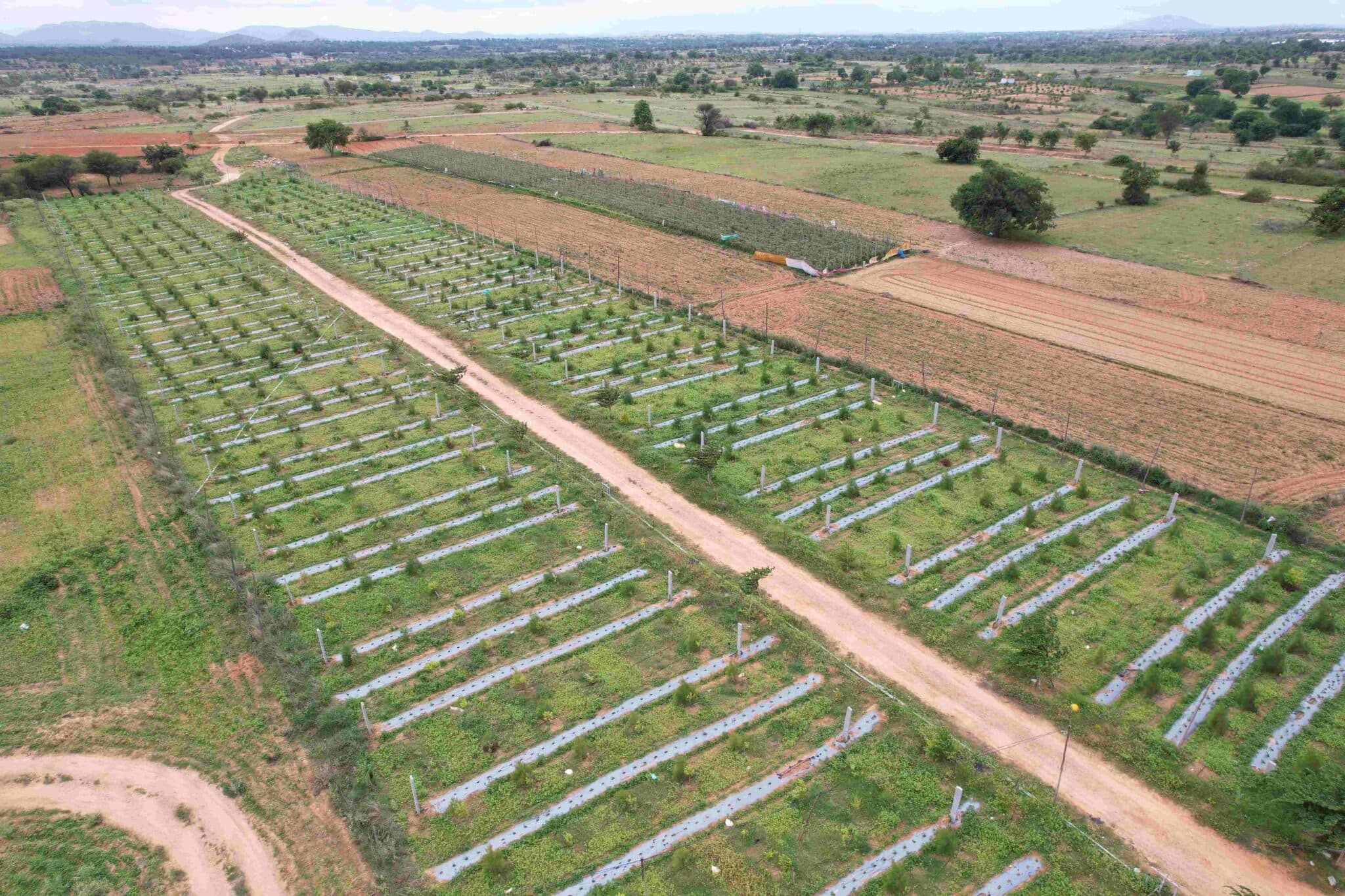 Buy & Sell Land Online in India | Agricultural, Residential ...